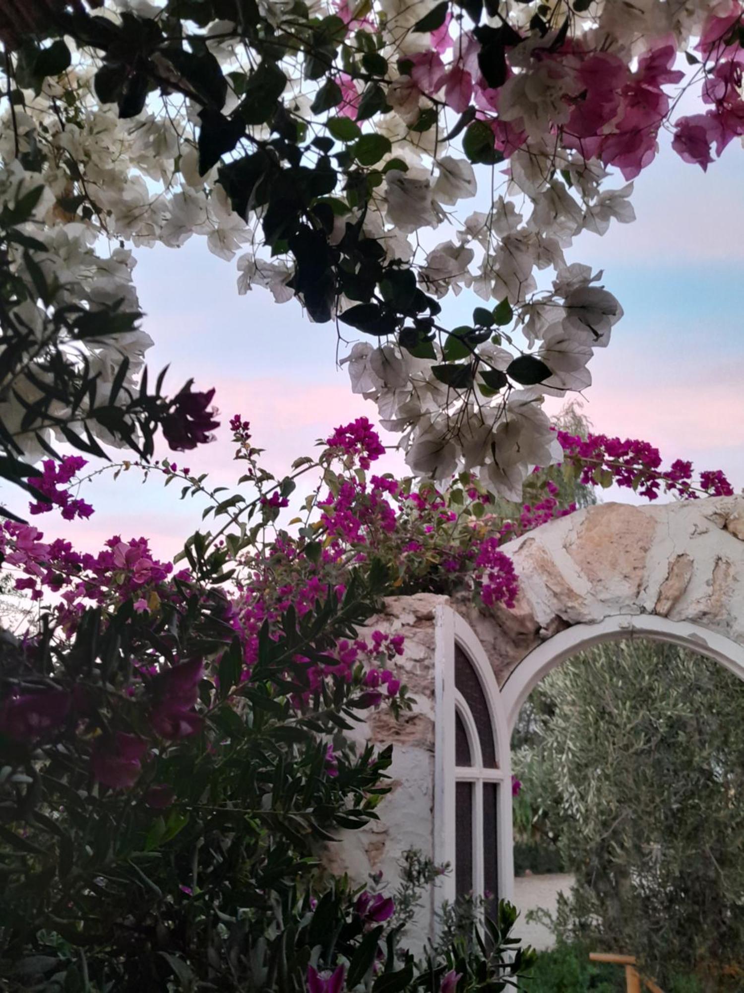 Riad Sanam Эс-Сувейра Экстерьер фото